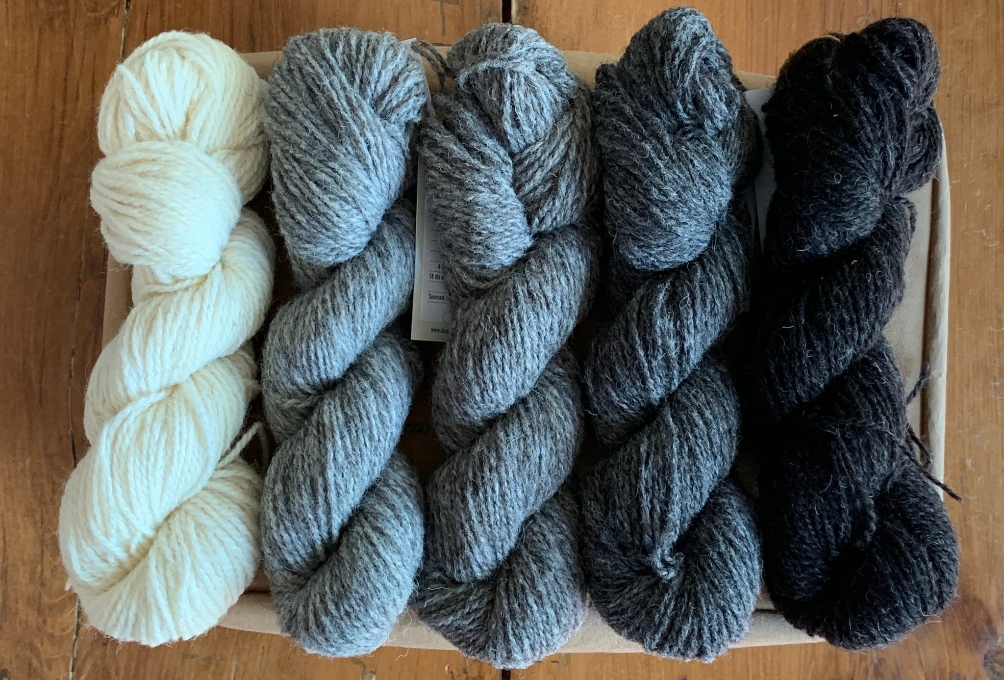 Ram Jam (Worsted) - Daughter of a Shepherd - Farm to Cable Yarns
