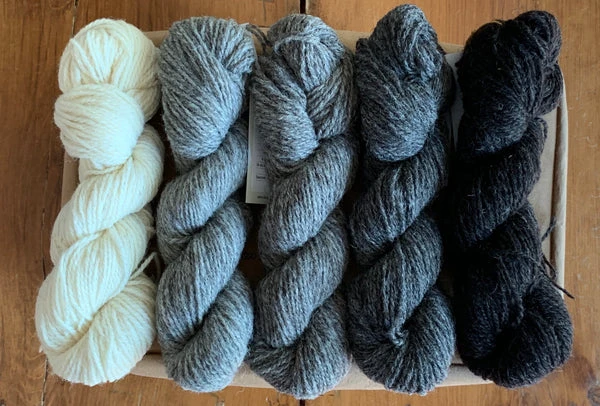 Ram Jam (Worsted) - Daughter of a Shepherd - Farm to Cable Yarns