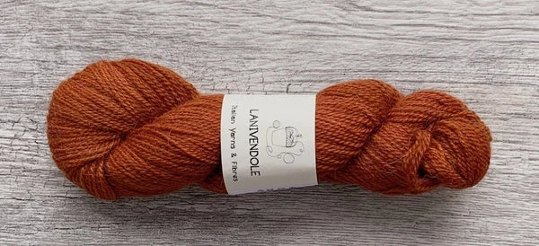 skein of rust orange cashmere heavenly blend yarn